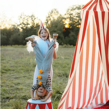 Decorative Circus Canopy