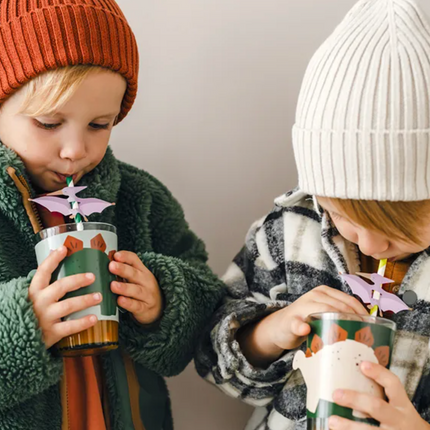 Słomki Pterodaktyl - słomki papierowe