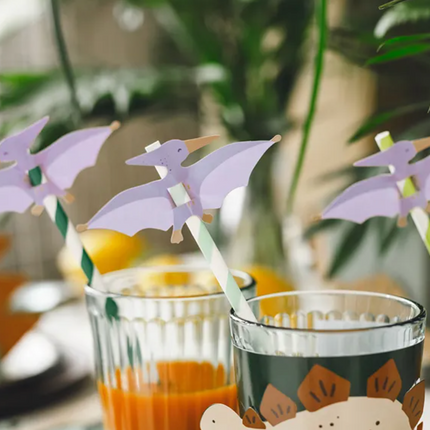 Słomki Pterodaktyl - słomki papierowe